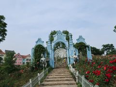 -大塘金香草谷