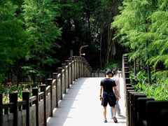 -重庆彩云湖湿地公园