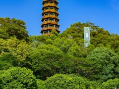 -红花山公园
