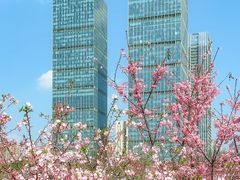 -艾溪湖湿地公园