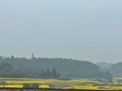 -仙海旅游度假区