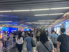 -大望路(地铁站)