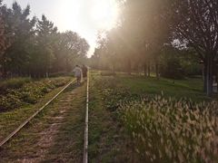 -永定河休闲森林公园