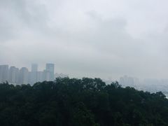 -金鸡山公园