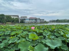 -海天湖公园