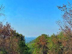 -青龙山国家森林公园