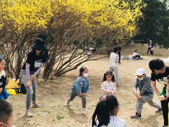 -卓美LAMDA戏剧演讲与培训中心(亚运村店)