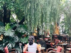 -Fern Forest Cafe