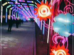-北戴河集发农业梦想王国