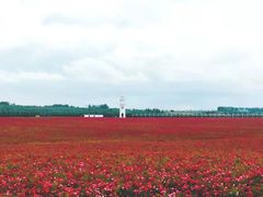 -南京枫彩漫城