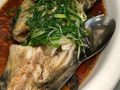清蒸老虎斑-徐记海鲜(大雁塔|金都店)