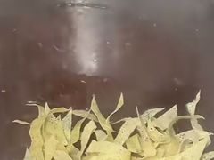 -小发锅巴菜铺(金辉家园店)