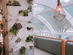 -农畉LONFOOD(福田星河COCOPark店)