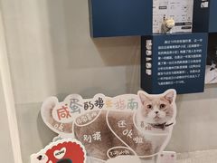 -伟伟宠物医院·CT影像中心·瑞派犬猫综合性门诊(汉口总院)