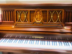 -谈·PIANO(金唐新光界店)