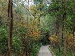 -仙海旅游度假区