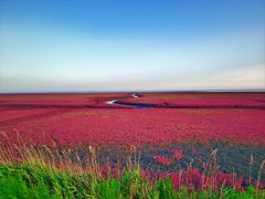 -红海滩国家风景廊道