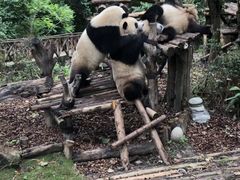 -西安秦岭野生动物园