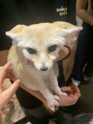 -Zoolung Zoolung动物主题公园(海信广场店)