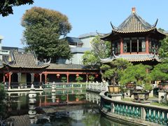 -碧江金楼