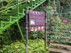 -藏龙百瀑风景区