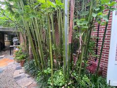 -小仙居·农家宴烤羊· 农庄