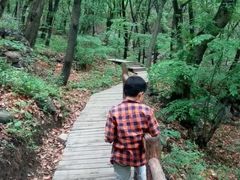 -北京上方山国家森林公园