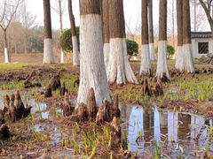 -幕燕滨江·长江观音景区