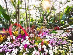 -国家植物园南园