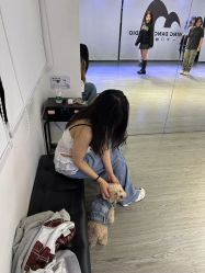 -卡门舞蹈