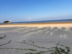 -飞沙滩