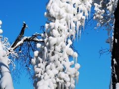 -中旅松花湖滑雪场