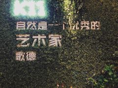 -武汉光谷K11