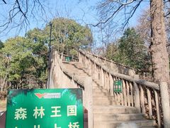-WeLope紫金山探险公园