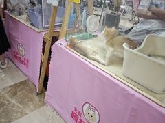 -宁波鄞州万达广场