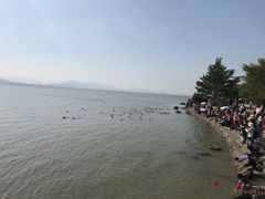 -深圳湾公园(南山区)