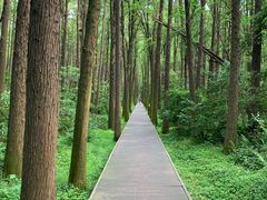 -同里国家湿地公园