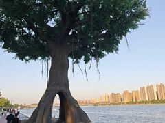 -咸阳湖景区
