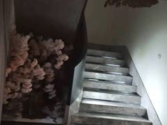 -新盈光·旗舰店(海曙苍松路店)