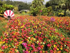 景点-南沙蒲洲花园