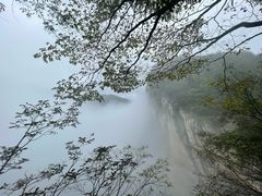 -鹿院坪生态旅游景区