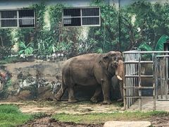 -西安秦岭野生动物园
