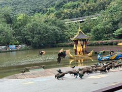 -西双版纳原始森林公园