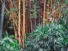 -人民公园(罗湖区)