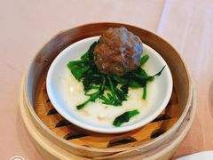 -金苑海鲜酒家(来魅力店)