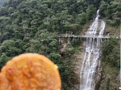 -九龙江国家森林公园