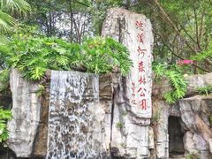 -广州市流溪河国家森林公园