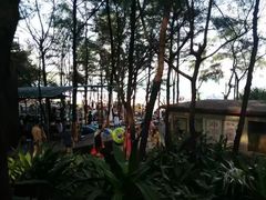 -西涌国际滨海旅游区