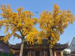 -吴作人艺术馆