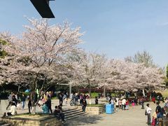 -玉山公园